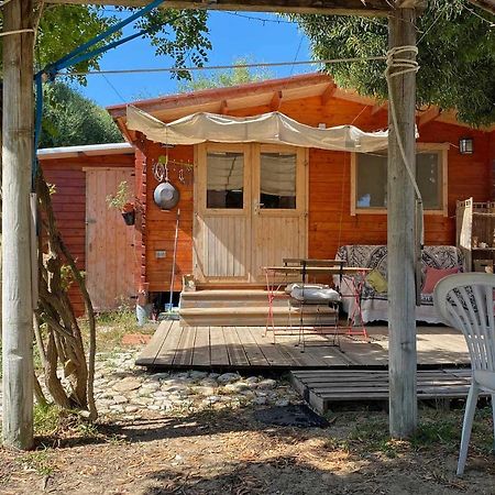 El Canto De Las Ranas Villa Barbate Kültér fotó