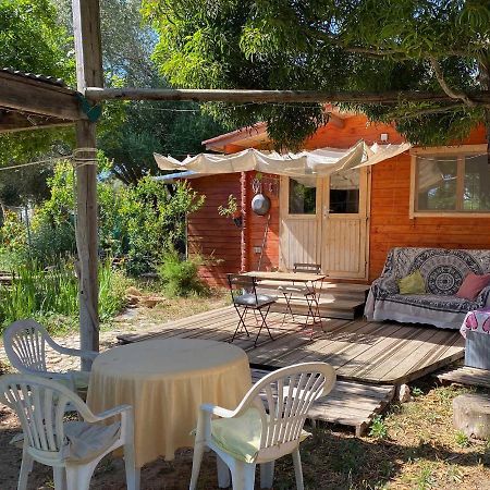 El Canto De Las Ranas Villa Barbate Kültér fotó