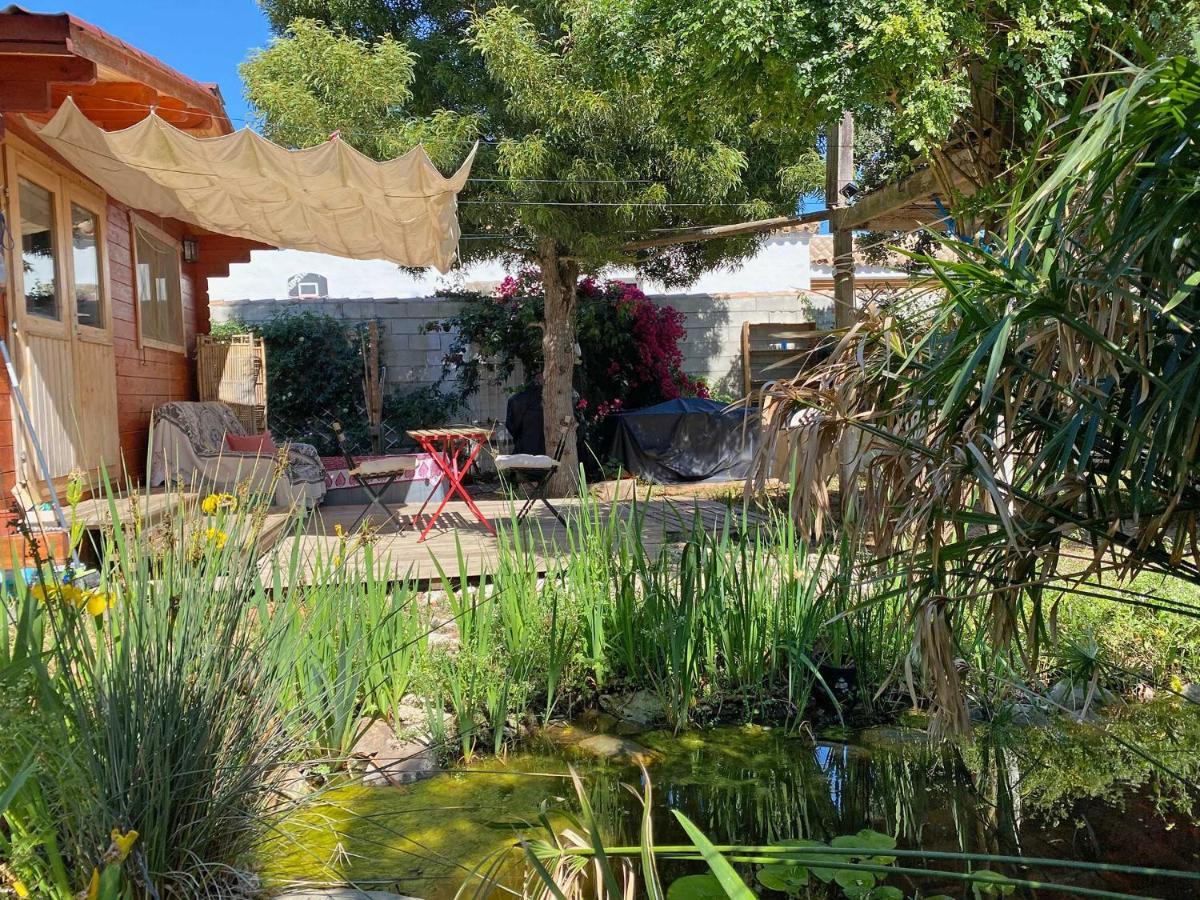 El Canto De Las Ranas Villa Barbate Kültér fotó
