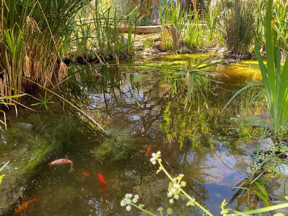El Canto De Las Ranas Villa Barbate Kültér fotó